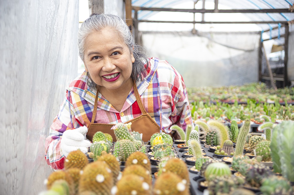 Mujer emprendedora que vende plantas